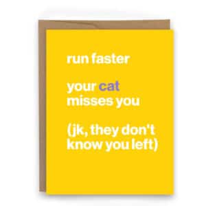 Run faster your cat misses you
